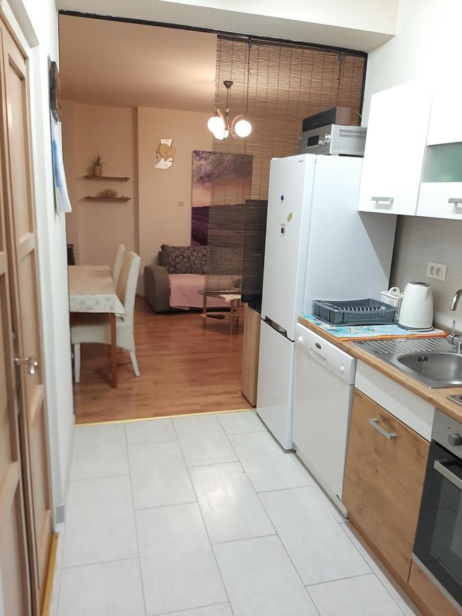 Apartment Mia Ровин Екстериор снимка