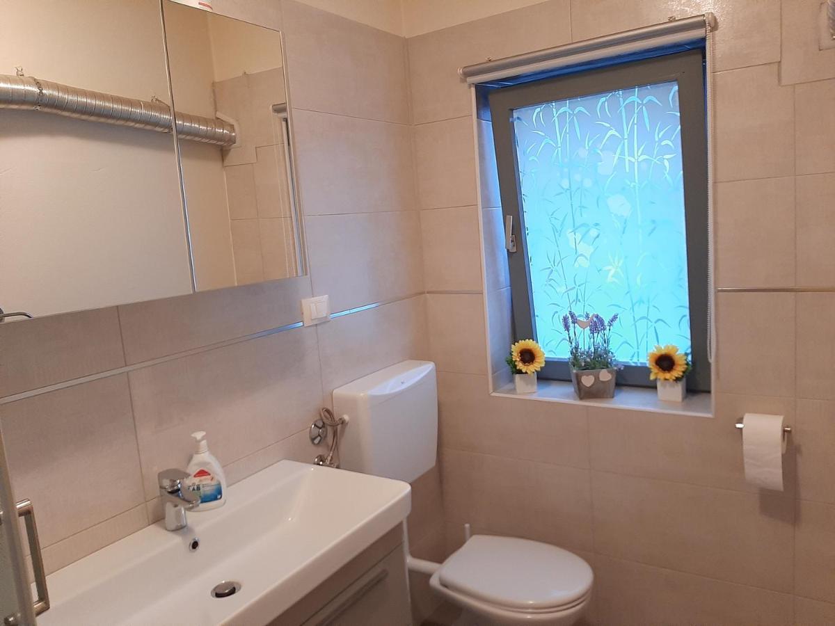 Apartment Mia Ровин Екстериор снимка